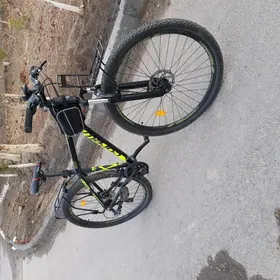 orginal welik 29 lik