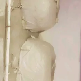 Arende tamdyr corek sosma un