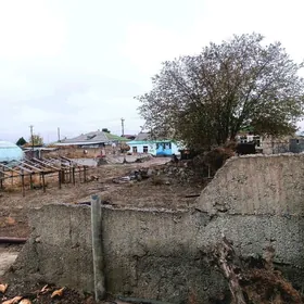 Satlyk ýer jaỳ mellek