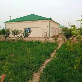 Satlyk jaÿ Altyn sâhra