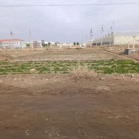 мелек ер муход