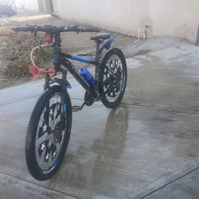 амассатыр амассатыр