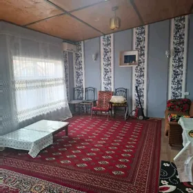 Satlyk howly jay daça