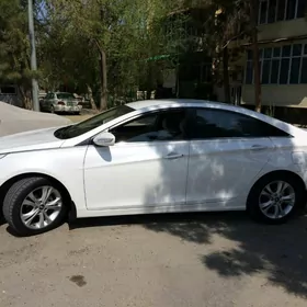 Hyundai Sonata 2010