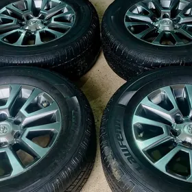 R18 LIK ARGINAL PRADO DISKA