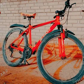 Sport TigirGysdagly satlyk