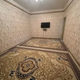 Satlyk Elitka srocna