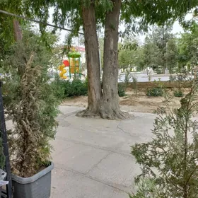 Satlyk Kwartal/ Квартал 1эт