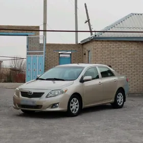 Toyota Corolla 2010