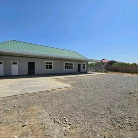 Gokje Гёкдже Bagyr Bekrewe