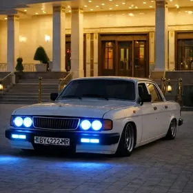 Gaz 31 1993