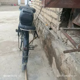 eleç tigirEleçtigir