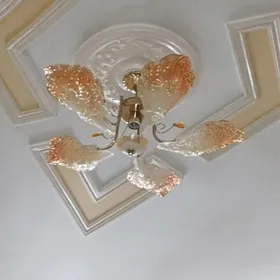 LÝUSTRA  LÝUSTRA..