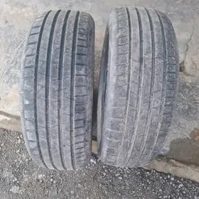 pakryska 17 lik tazeje