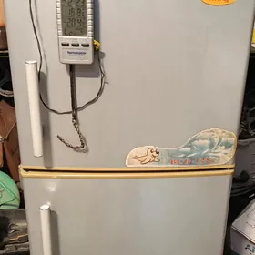 kir masyn halodilnik