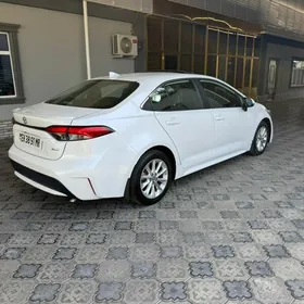 Toyota Corolla 2021