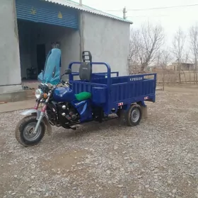 Fekon FK200-14G 2016