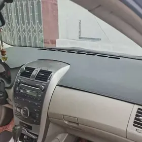 haliji tarpeda keche