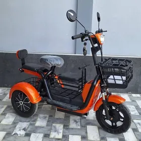 tokly 3 teker skuter