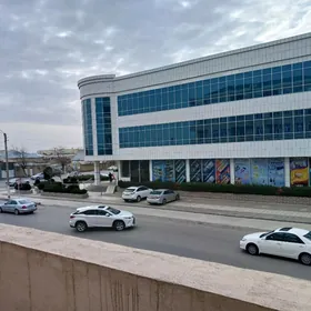 ️ Satlyk elitka jaý 