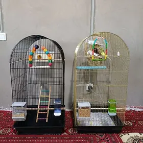 Guş Ketek Uly Клетка Большая