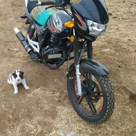 Fekon FK200-14G 2026