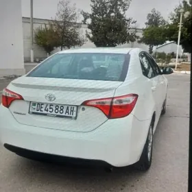 Toyota Corolla 2014