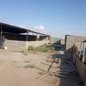 Arbita,Арбита Дача.