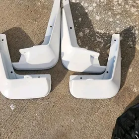 Brazgawik 2014 15 carolla