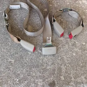 COROLLA YZKY REMENIÑ GULPLARY: