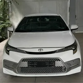 Toyota Corolla 2019