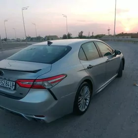 Toyota Camry 2019