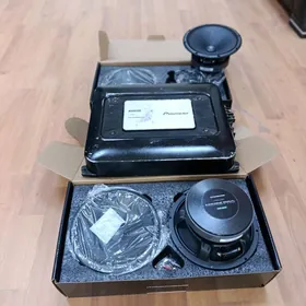 pioneer 4 sany apacalypc