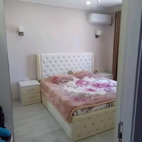 Satlyk Tejen mkr jay