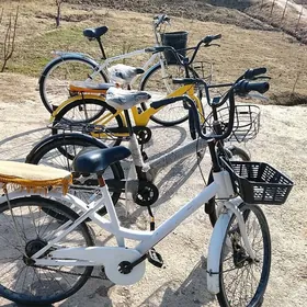 tigirler welsepitler