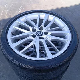 Kemy Dysga pakryşga 19