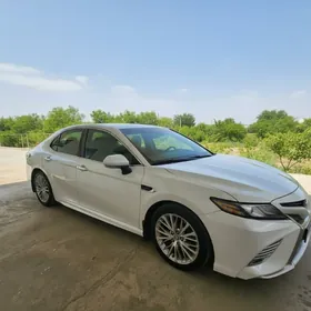 Toyota Camry 2020