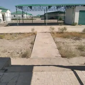 Gyzylarbat Rowaç kotej jay