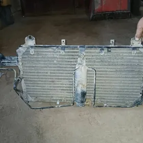 кандисанер радятр