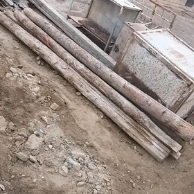 pürs agaçlar we galaýy