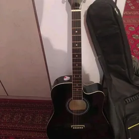 Akustik electron gitara