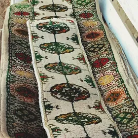 📢𝑮𝒂𝒍𝒚𝒏 𝒉𝒂𝒍𝒚