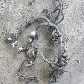 17 Camry mator tok-sim