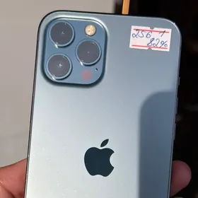 iPhone 12 Pro Max 256