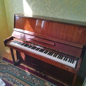 Piano "Çaykowskiy"