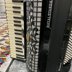 akkordeon Royalstandart