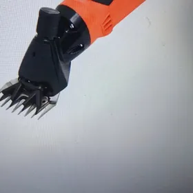 Goýun we geçi ýüňüni gyrkýan