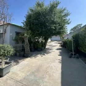 arzan Bagyr Miewe,Вагур Миреве