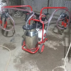 Süýt sagýan aparat