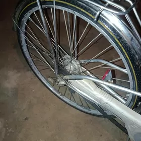 27/3skor dinamoly,remen